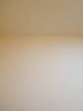 Oriana111 online show from February 2026 03:55:01 PM