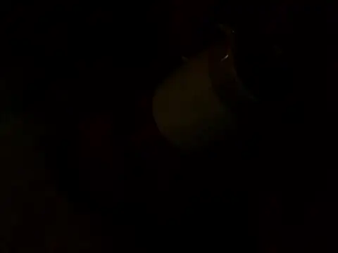 PointXXL online show from December 2025 02:32:02 PM