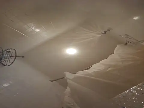 longblacklong online show from October 2025 03:15:01 PM