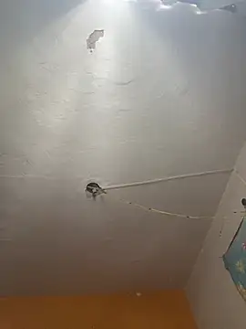 freedmar online show from April 2026 02:24:01 PM