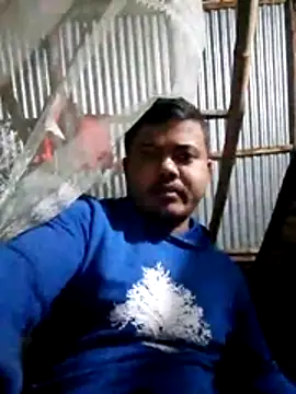 CatchingBouquet online show from December 2025 01:53:02 PM
