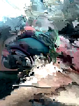 Snapshot of geraldoo007 chatting on October 2025 03:44:01 PM geraldoo007 online show from October 2025 03:44:01 PM