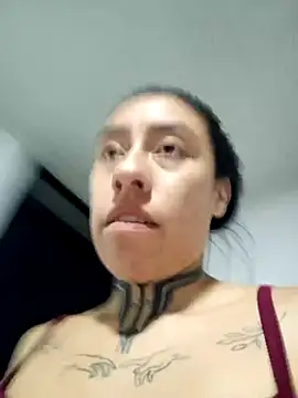 Dunnadan Bms online show from March 2026 03:10:02 AM