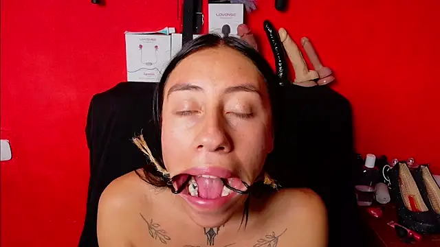 Dunnadan Bms online show from March 2026 01:45:02 AM