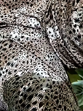 Dassing strip couple online show from April 2026 10:33:01 AM