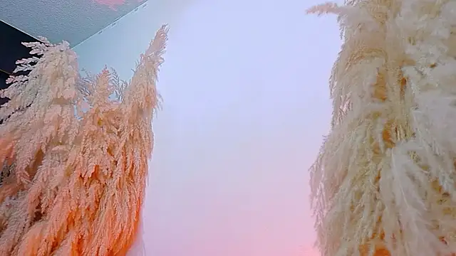 JulietaDavis online show from February 2026 08:11:01 AM