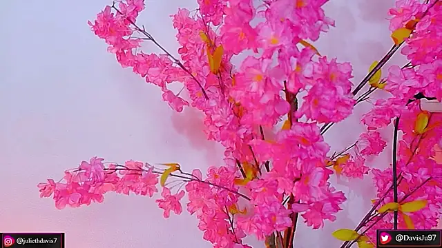 JulietaDavis online show from May 2026 02:08:01 AM