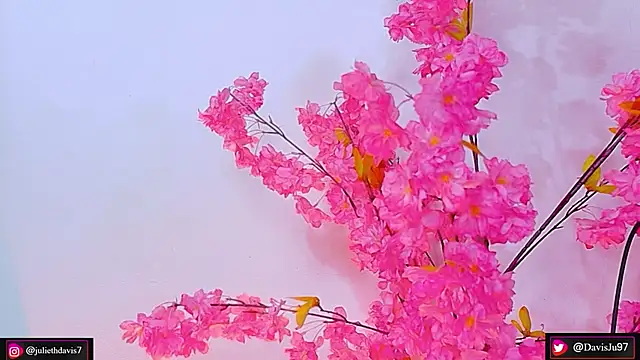 JulietaDavis online show from May 2026 09:38:01 AM
