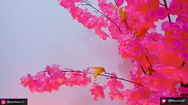 JulietaDavis online show from May 2026 09:39:01 AM