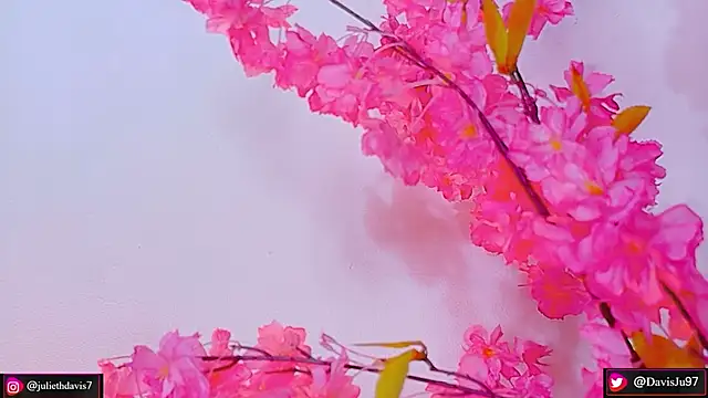 JulietaDavis online show from May 2026 09:38:01 AM