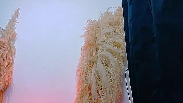 JulietaDavis online show from February 2026 09:33:02 AM