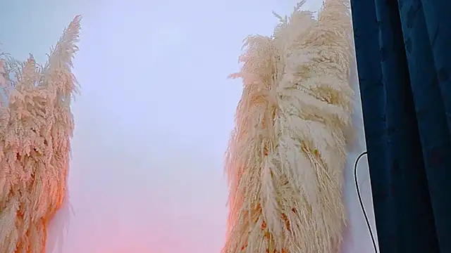 JulietaDavis online show from February 2026 09:33:01 AM