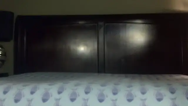 Hornylouisewil online show from November 2025 12:42:02 AM