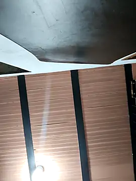 Snapshot of Hiroshi_Shen chatting on October 2025 11:11:02 AM Hiroshi Shen online show from October 2025 11:11:02 AM