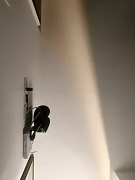 Hiroshi Shen online show from December 2025 11:19:01 PM