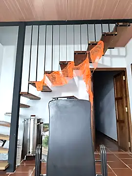 Snapshot of Hiroshi_Shen chatting on November 2025 11:24:02 AM Hiroshi Shen online show from November 2025 11:24:02 AM