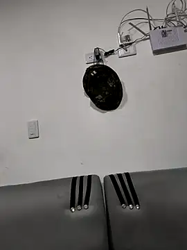 Snapshot of Hiroshi_Shen chatting on November 2025 10:48:01 AM Hiroshi Shen online show from November 2025 10:48:01 AM