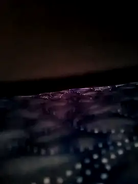 Hiroshi Shen online show from January 2026 12:30:01 PM