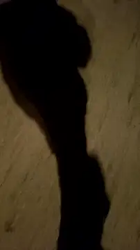 jvdzj-0  online show from October 2025 12:56:02 AM