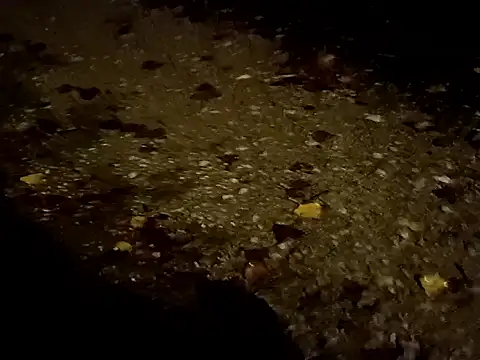 jvdzj-0  online show from October 2025 10:42:01 PM