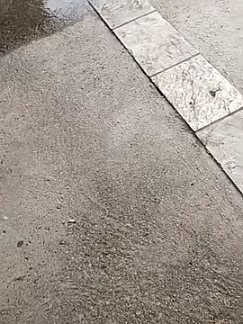 jvdzj-0  online show from October 2025 03:37:02 PM