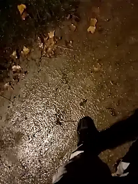 jvdzj-0  online show from October 2025 09:47:01 PM