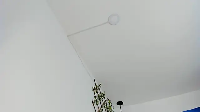 carolinacrus01 online show from November 2025 04:00:01 PM