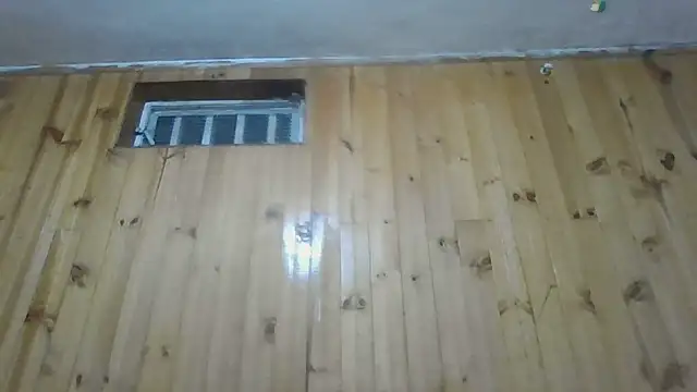 Roselingalvis13 online show from October 2025 02:35:02 AM