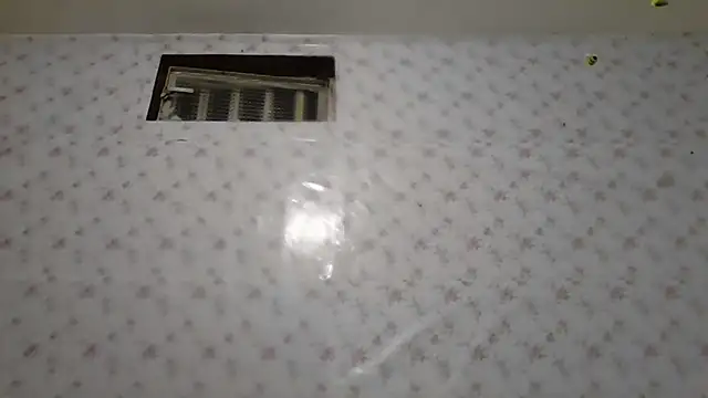 Roselingalvis13 online show from February 2026 02:43:02 AM