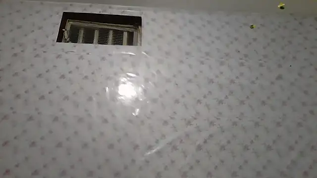 Roselingalvis13 online show from March 2026 02:51:02 AM