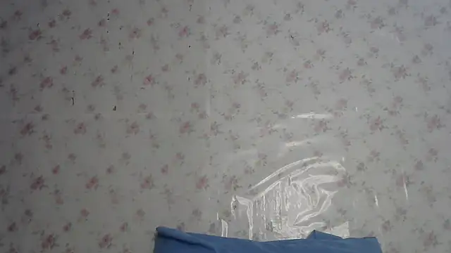 Snapshot of Roselingalvis13 chatting on July 2026 02:34:02 AM Roselingalvis13 online show from July 2026 02:34:02 AM