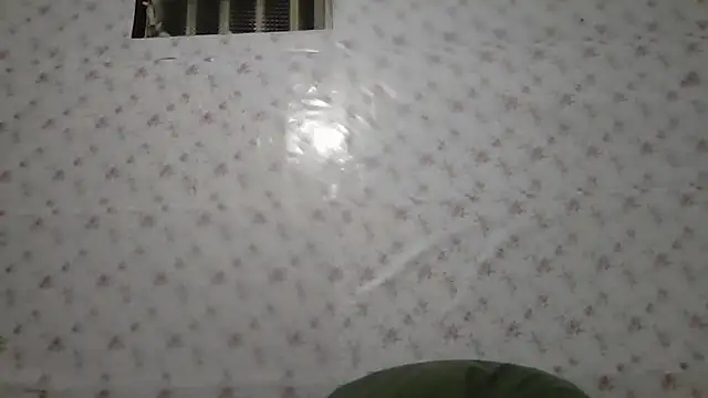 Roselingalvis13 online show from March 2026 02:52:02 AM