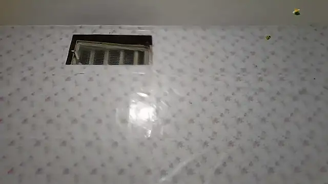 Roselingalvis13 online show from February 2026 03:13:02 AM