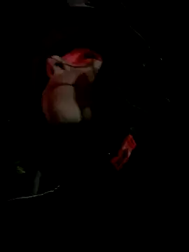 juliie star online show from November 2025 12:47:02 AM