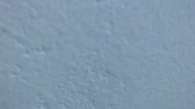 carolina zabala 19 online show from March 2026 07:36:01 PM