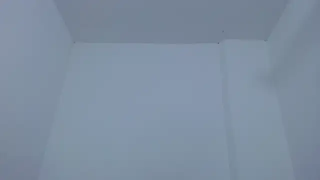 carolina zabala 19 online show from December 2025 07:19:02 PM