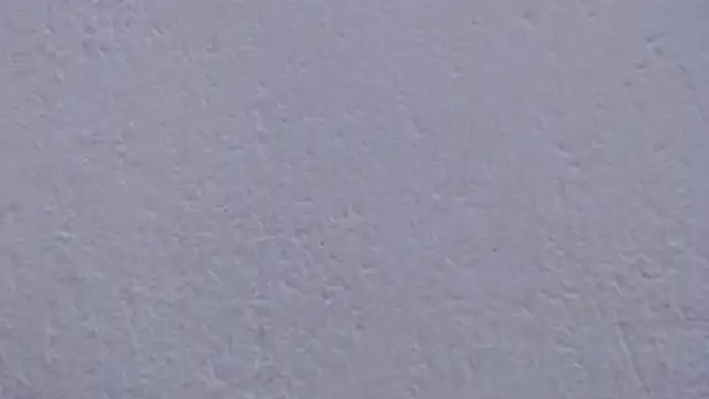 carolina zabala 19 online show from April 2026 08:48:02 PM