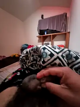 uratre online show from December 2025 06:12:01 PM