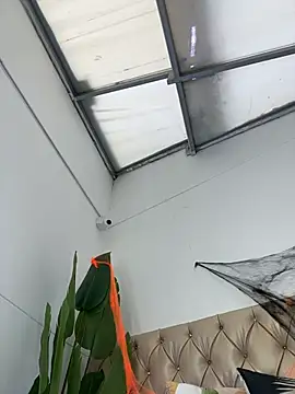 Snapshot of TweetiePieXXX chatting on October 2025 10:05:02 PM TweetiePieXXX online show from October 2025 10:05:02 PM