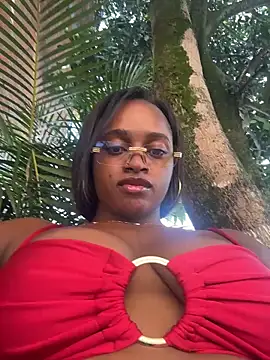 darle volant online show from February 2026 02:50:02 PM