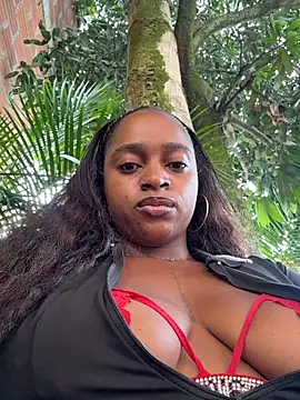 darle volant online show from April 2026 01:34:01 PM