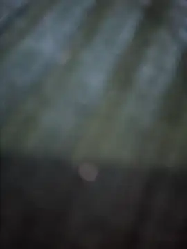 VesperVelvet online show from March 2026 03:51:02 AM