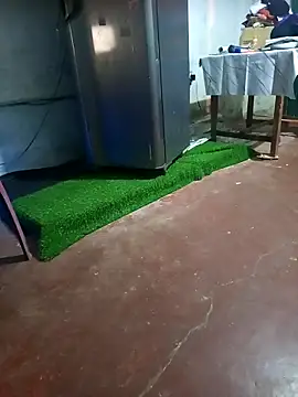 BabyHansi online show from March 2026 05:03:01 PM