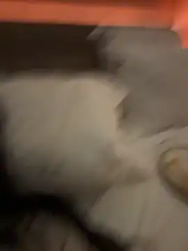 Ofcourseoneday online show from March 2026 01:36:02 PM