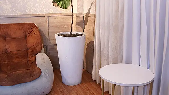 Ethan occonor online show from February 2026 11:43:02 AM