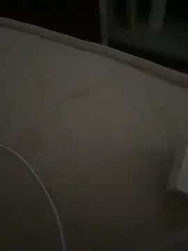 Mbidee online show from February 2026 10:37:01 AM