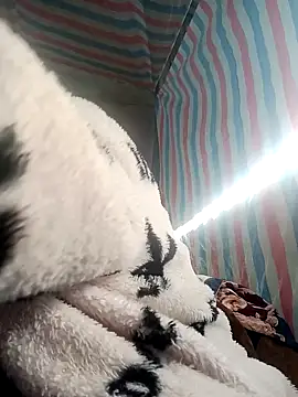 jienrrr online show from November 2025 01:49:01 AM