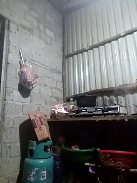 jienrrr online show from November 2025 12:00:02 PM