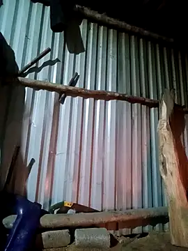 jienrrr online show from December 2025 11:09:01 AM