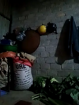 jienrrr online show from February 2026 11:33:02 AM